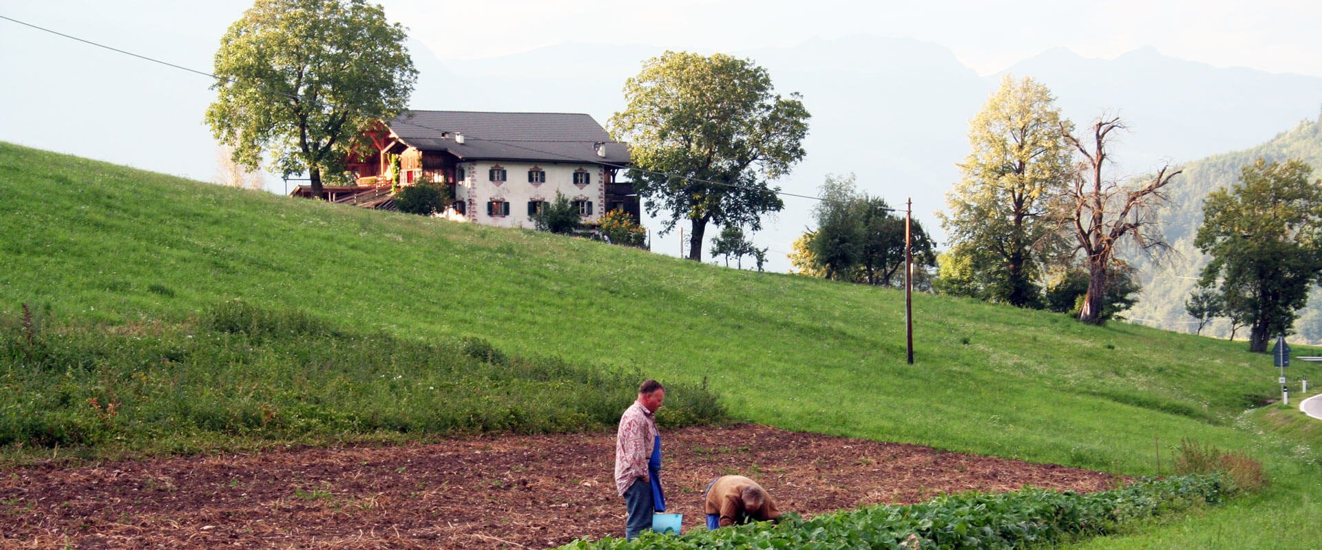 Gasthof zum Schlern