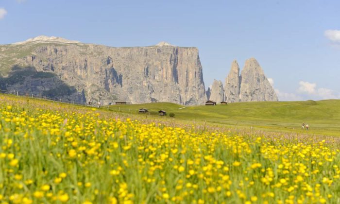Frötschbachschlucht und die Seiser Alm sind ganz in der Nähe