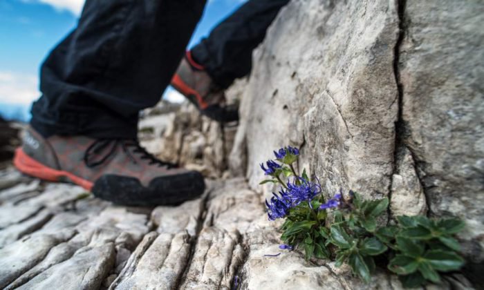 Erobern Sie den Schlern und den Plattkofel in Ihren Wanderferien