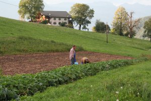 Gasthof zum Schlern in Voels am Schlern 30