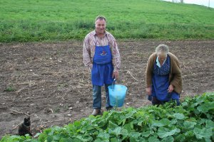 Gasthof zum Schlern in Voels am Schlern 28