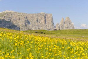 Gasthof zum Schlern in Fiè allo Sciliar 35